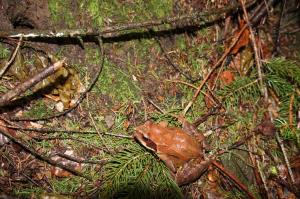 IMG_5150 (1024 x 679)